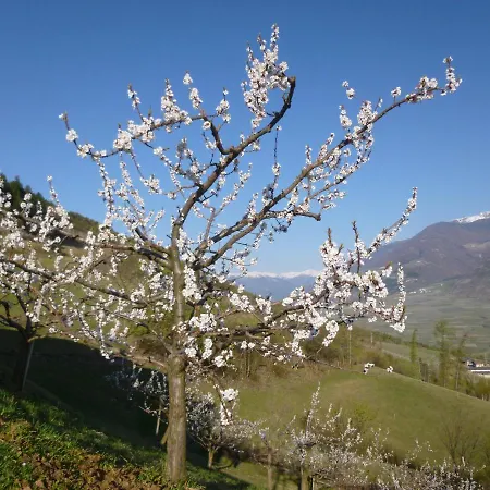 Farm stay Sonnwarthof *
